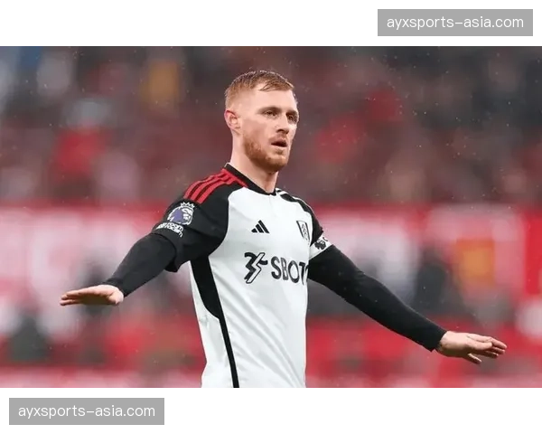 聚焦：富勒姆老将威廉，39岁仍在英超赛场发光发热